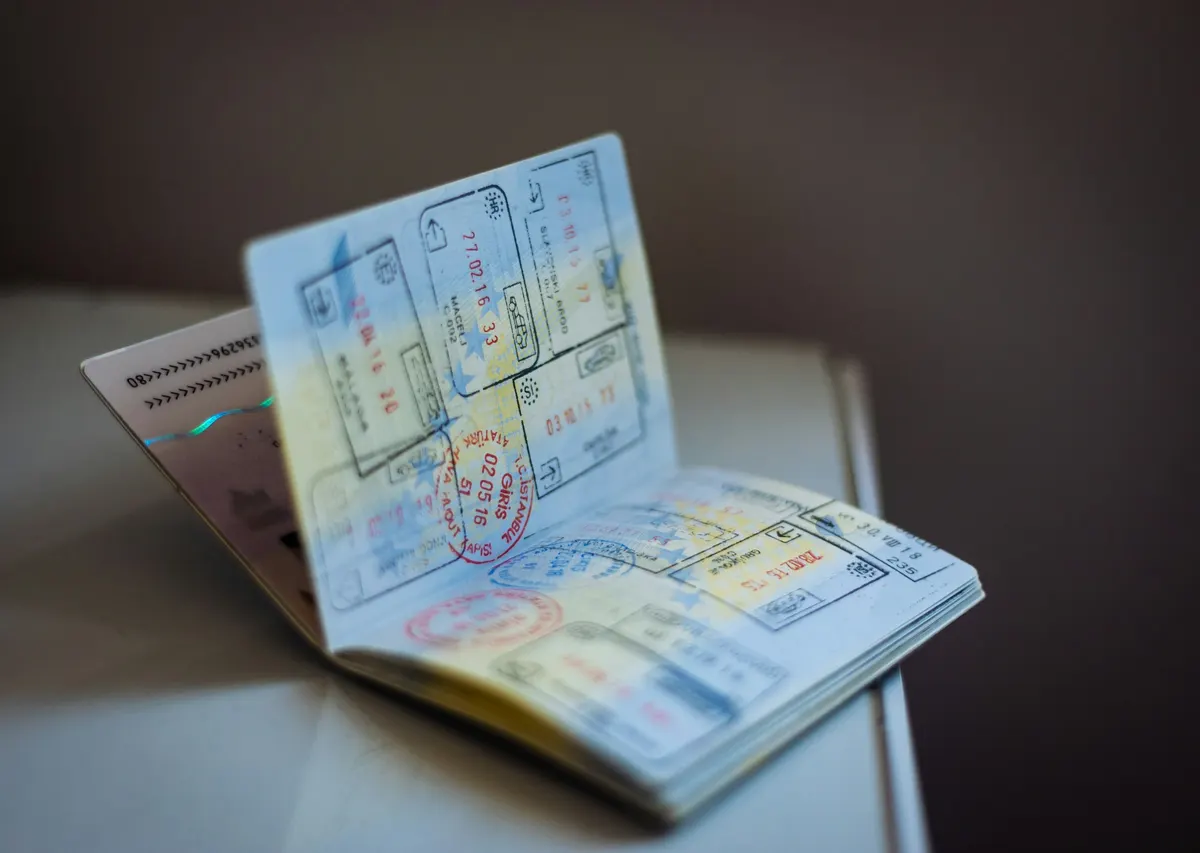 Entry visa